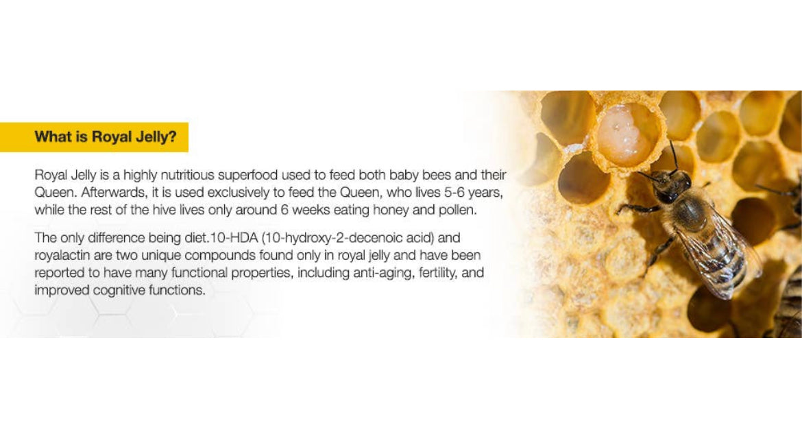 Royal Jelly Propolis Bee Pollen Tablets Ultra Potency
